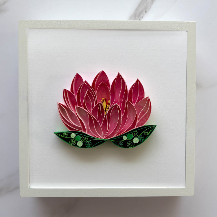July Water Lily