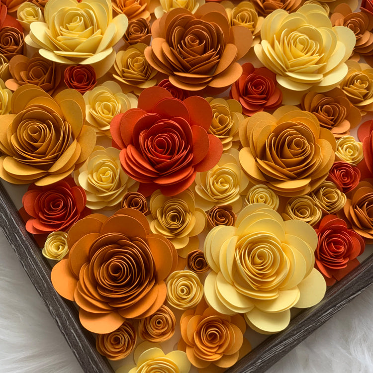 Autumn Roses